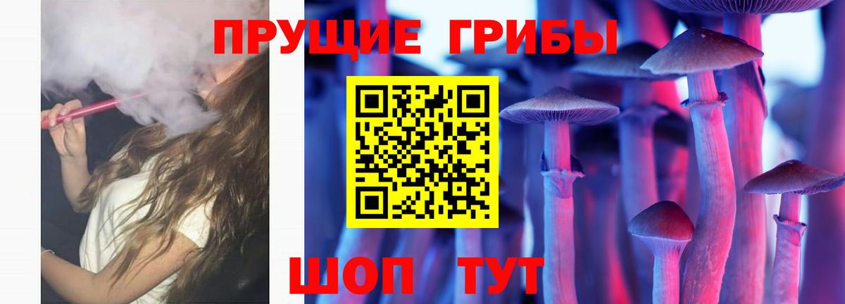 Галлюциногенные грибы Psilocybe Иркутск